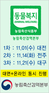 배너
