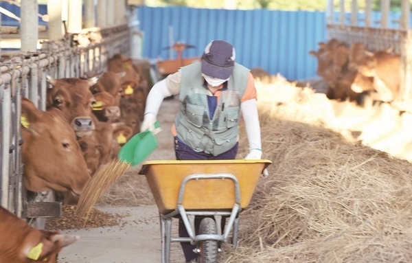축산물 수입보다 ‘자급’, 경제적 이득 훨씬 크다
