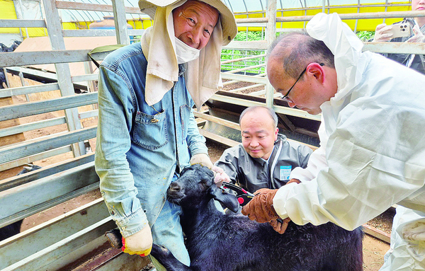 염소 산업도 혈통 등록 새전기…제도화 ‘첫 발’