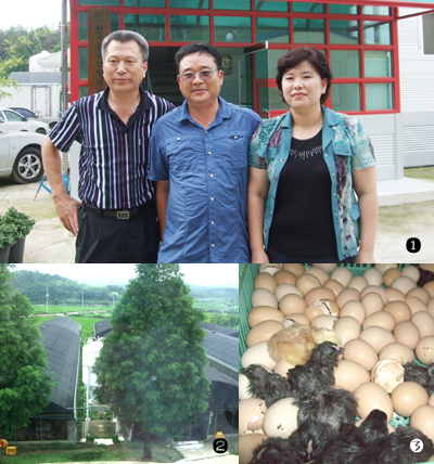 엘림축산 이미지