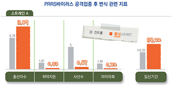 PRRS 바이러스 공격접종 후 번식 관련 지표