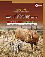 퓨리나 한우 번식우 프로그램