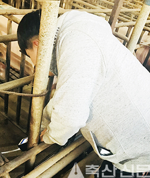 돈마나 농장에서는 수시로 냄새 측정이 이뤄진다. 