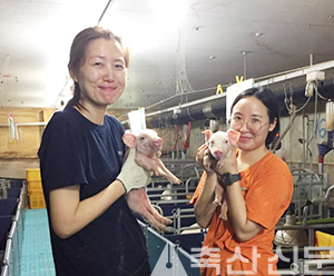 도화농장 실습생의 한명인 한농대 남소현양(사진 왼쪽)이 다비육종 직원으로부터 번식성적을 높이기 위한 교육을 받고 있다.