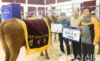 전국한우경진대회에서 박희완 농가(왼쪽 첫 번째부터)가 박재종 조합장, 유종기 한우협회 밀양시지부장과 챔피언 암소를 배경으로 기념촬영 모습.