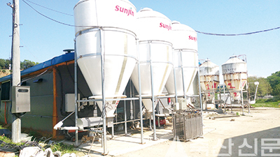 사육규모에 비해 피드빈이 많이 설치되어 있다. 단계별 사료가 달라 많은 피드빈이 필요하다고 한다.