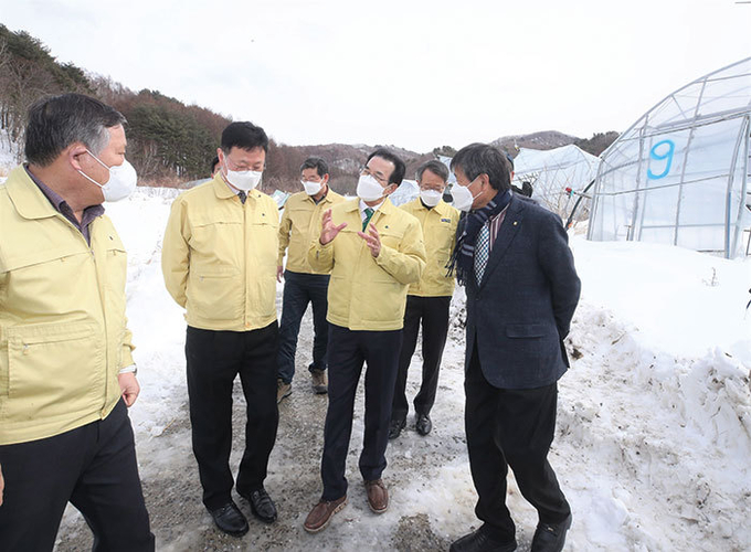 이성희 회장(오른쪽 두 번째)이 인제지역 폭설피해 현장을 살펴보고 있다. 사진 왼쪽은 이택열 인제축협장.