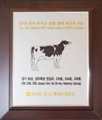 2019년 전국의 유우군 검정젖소 생애 최고우 100두 중 장우목장에 216호. 254호. 339호 등 3마리가 있다는 젖소개량사업소패.