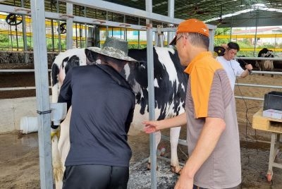 홀스타인개량협의회 허증 전 회장이 노하우를 알려홀스타인개량협의회 허증 전 회장이 노하우를 알려 주고 있다.