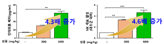밤꿀 효능