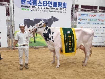 그랜드 챔피언을 수상한 대흥목장의 ‘대흥 피버 도어맨 1062호’