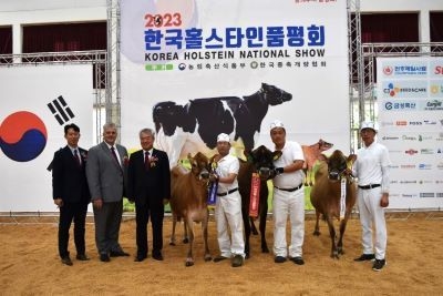 올해 신설된 저지 부문에서 1부 최우수축은 경기 양주 준이목장(대표 김형남)의 ‘준이 패스트랙 크롬 476호-이티’, 2부 최우수축엔 대흥목장의 ‘대흥 피라냐-피 갓 매드 5001호-이티’가 선정됐다. 