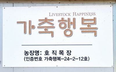 호직목장은 2021년 가축행복농장 인증을 받았다.