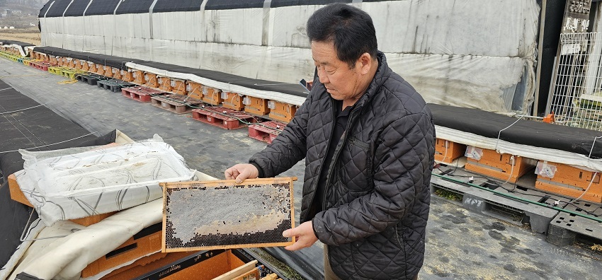 전체 120여 벌통 가운데 115여 벌통에서 꿀벌이 사라진 피해를 입은 산골양봉장 김경태 씨가 꿀벌이 사라진 소비를 보여주고 있다.