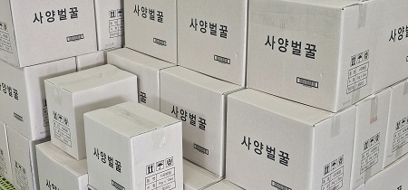 한 유통 업체에서 출고를 기다리고 있는 사양벌꿀