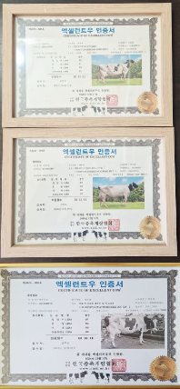 덕현목장은 3세대 연속 엑셀런트우를 배출했다. 