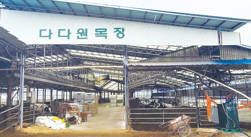 다다원목장 전경.