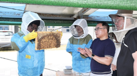 지난 19일 부안군 ‘꿀벌위도격리육종장’을 찾은 권재한 농촌진흥청장(사진 맨 오른쪽)이<br>
꿀벌 유전자원 관리와 보급 상황을 점검하고 있다.