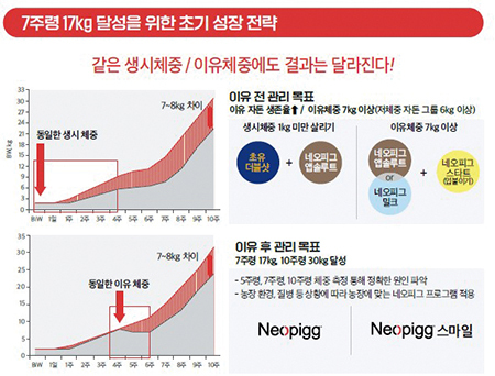<표2> 7주령 17Kg의 의미와 초기 성장 전략