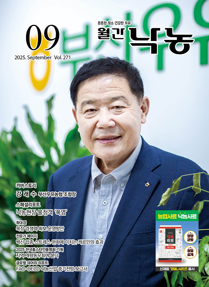 배너