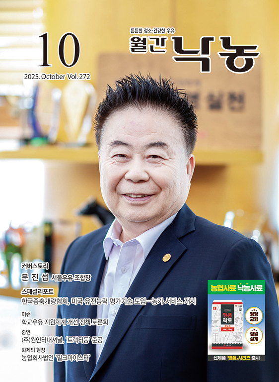배너