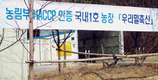 HACCP인증 최초 양돈농장 ‘우리밀축산’