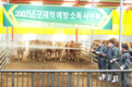 농협지역본부 일선축협 구제역 소독시연회 개최