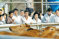“축산물 유통질서 직접 챙길 것”