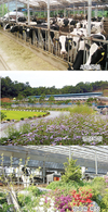 ‘크린팜이 돈’인식 공감…조직적 열기 확산