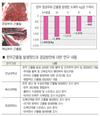 한우 근출혈 손실액 10억 넘을 듯