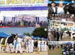 2008 한국홀스타인품평회…스케치