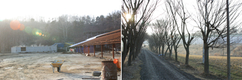 주목받는 농장  산란계 21만수 사육…충남 아산  덕연농장