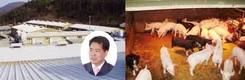 교배조합·계통조성 다양화…고급육 생산 박차