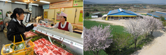 주목받는 경제사업 / 이천축협 ‘맛드림한우’ 브랜드