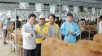 주목받는 경제사업장  / 고령성주축협 송아지 경매시장
