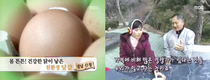 “친환경 계란으로 가족건강 지키세요”