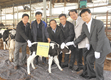 김포축협, 구제역 살처분 농가에 송아지 전달