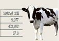 낙농여건 갈수록 악화…6천호선 마저