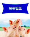 건강한 돼지…행복한 농장을 위하여