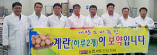 농협사료 전남지사 계란 소비촉진 참여
