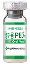 먹이는 PED 백신…접종스트레스 싹