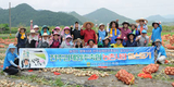 전주김제완주축협, 양파수확 일손돕기 구슬땀
