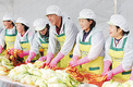 목무신축협, 사랑의 김장김치 담기