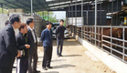 충북농협 축산농가 현장 컨설팅 호응