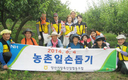 양산기장축협 농촌일손돕기 ‘구슬땀’