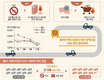 돼지 수요 줄고   육계 생산량 늘어 가격 하락
