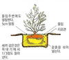 축산현장-나무심기 어떻게