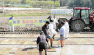 대전축협 농촌 일손돕기 봉사활동