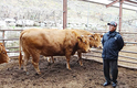 <화제의 목장>가축개량 30년만에 결실…강소농 실천