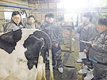 젖소심사 기술교육